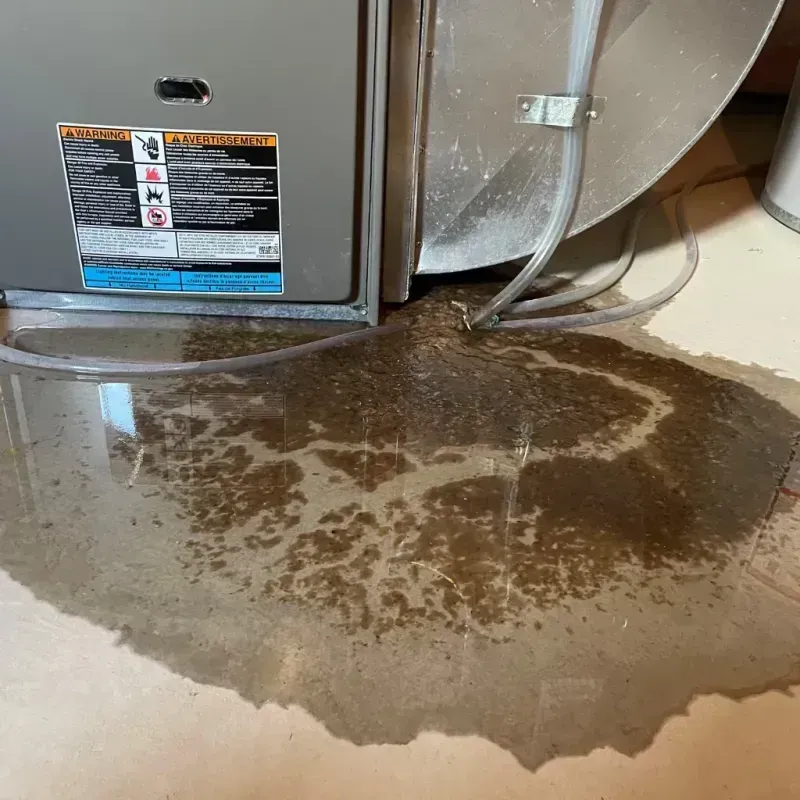 Appliance Leak Cleanup in Kiawah Island, SC